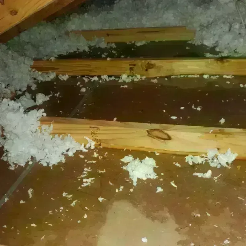 Attic Water Damage in Emmons County, ND