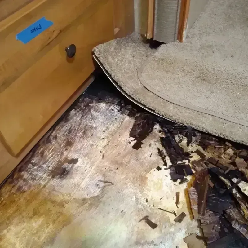 Wood Floor Water Damage in Emmons County, ND